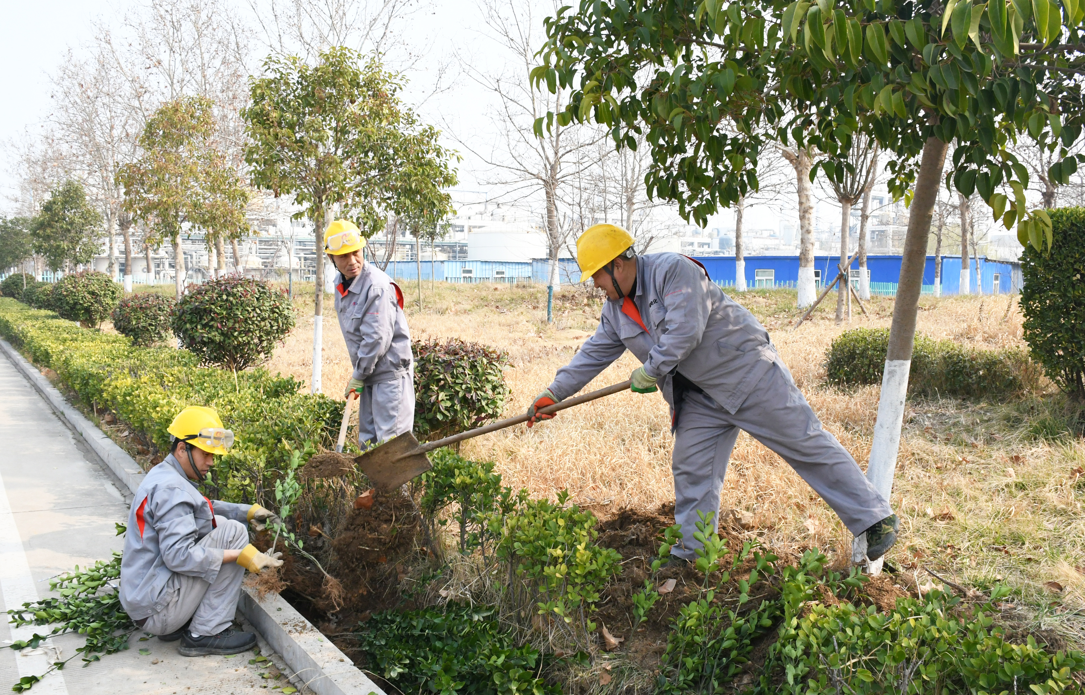 微信图片_20260311102707_1359_183.jpg 微信图片_20260311102707_1359_183.jpg